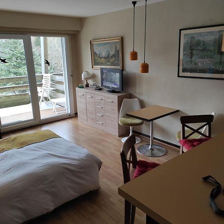 Residence Le Faucon - Col Du Donon 格兰德冯泰尼 外观 照片