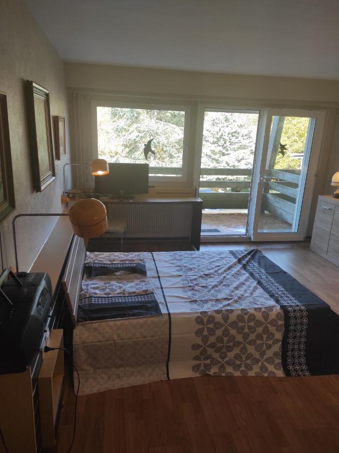 Residence Le Faucon - Col Du Donon 格兰德冯泰尼 外观 照片
