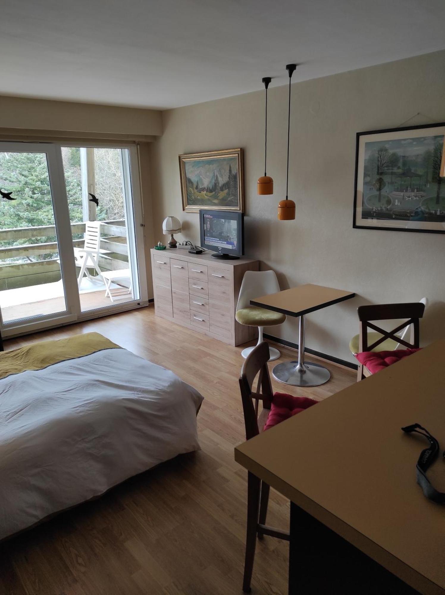 Residence Le Faucon - Col Du Donon 格兰德冯泰尼 外观 照片