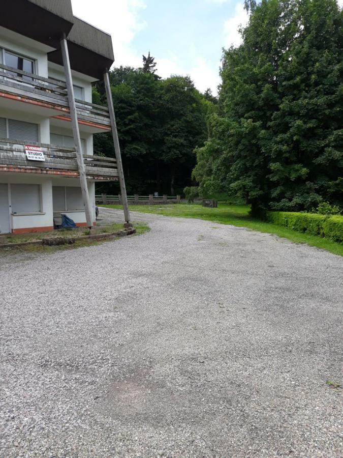 Residence Le Faucon - Col Du Donon 格兰德冯泰尼 外观 照片